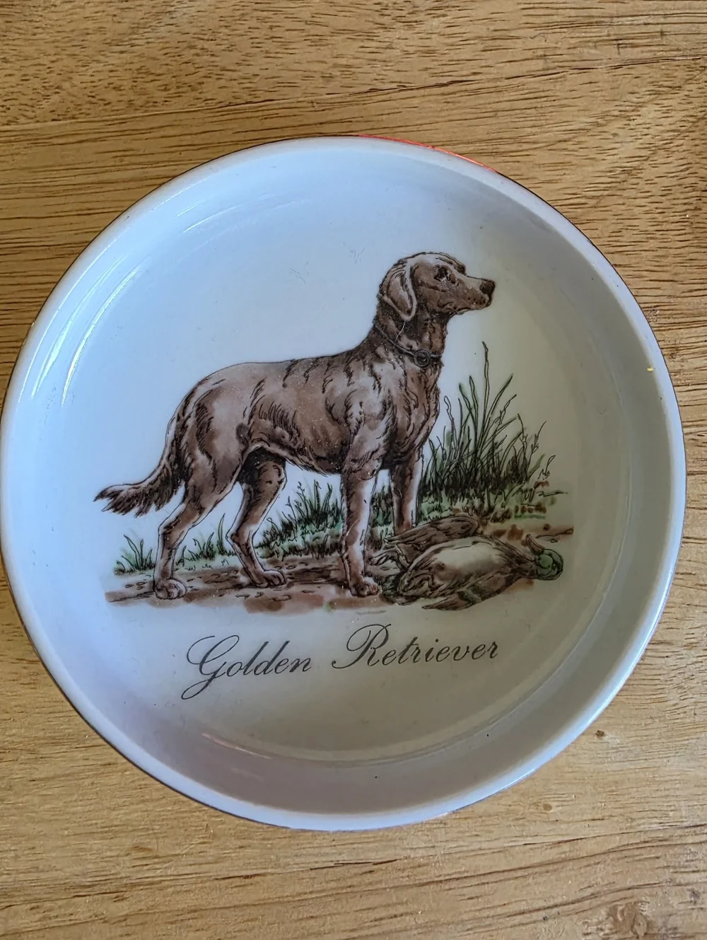 Golden Retriever Ceramic Dog Bowl Decor